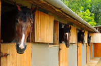 free Sandown stable construction quotes